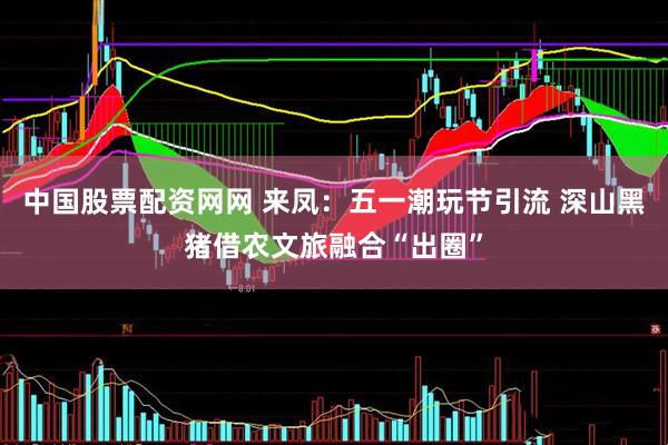 中国股票配资网网 来凤：五一潮玩节引流 深山黑猪借农文旅融合“出圈”